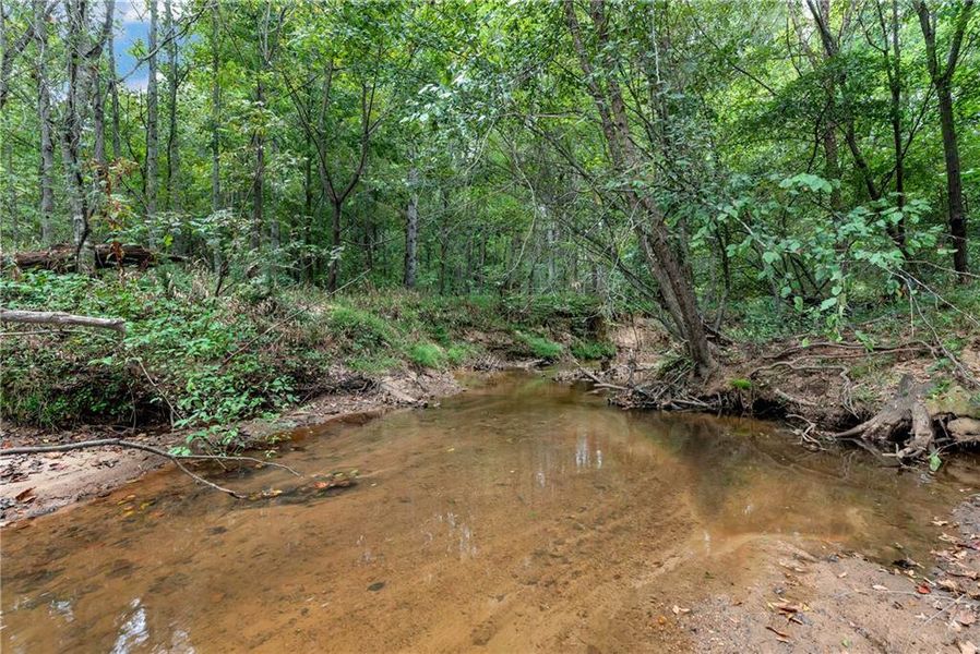 Natural landscape and outdoor views near  in Auburn (Image 48).