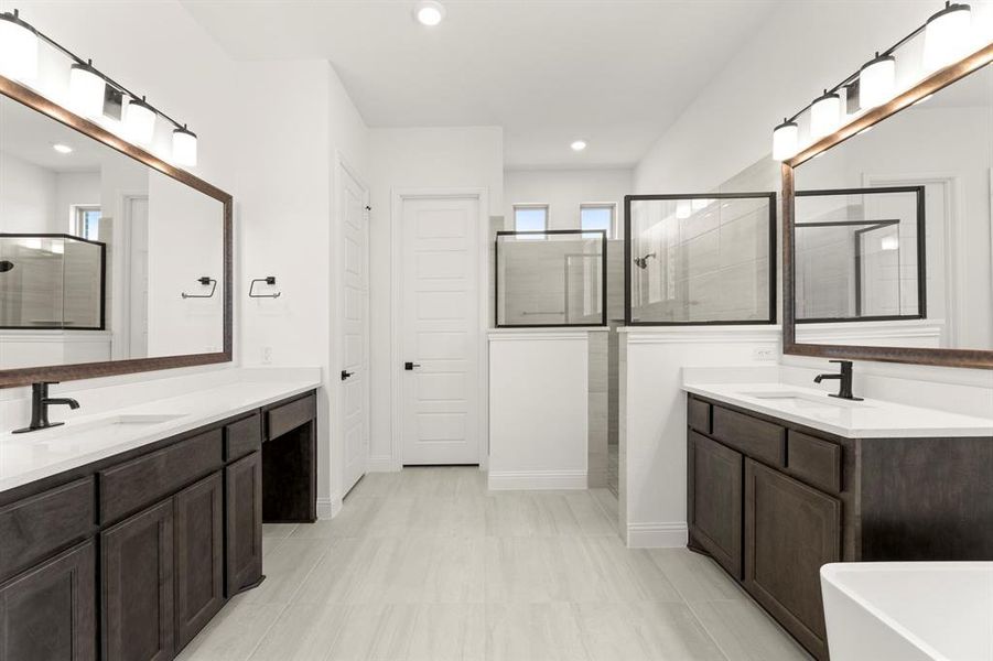 19. 409 Spoonbill - Bath