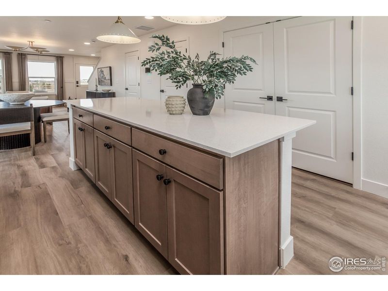 Furnished interior view inside a new home in Prairie Song Story Collection - Single Family Homes, Windsor (Image 5).