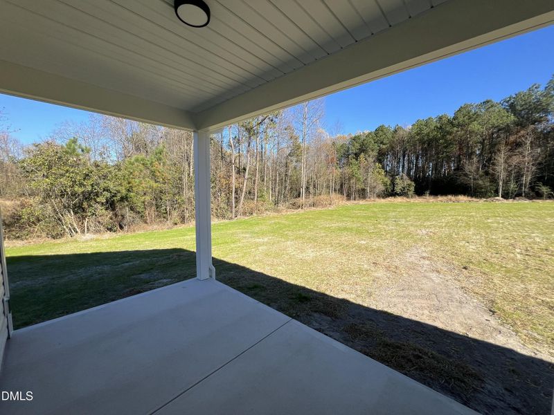 IMG_6003 2 IMG_6003 2