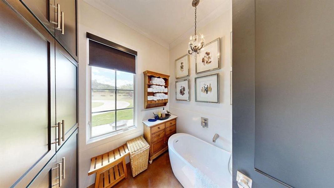 Same bath, Beautiful free standing tub