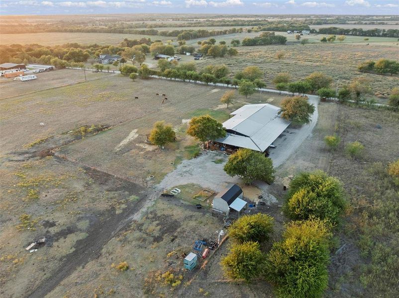 Shed is also a partial chicken coop