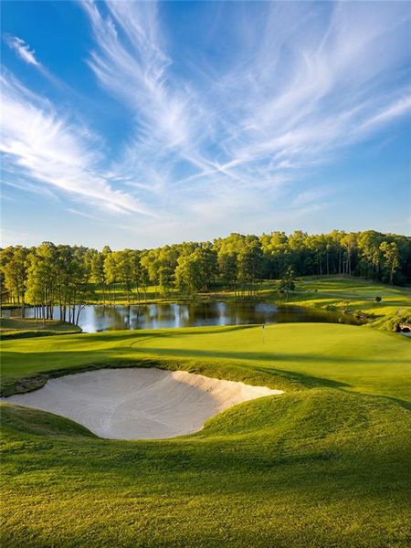 Natural landscape and outdoor views near  in Alpharetta (Image 13).