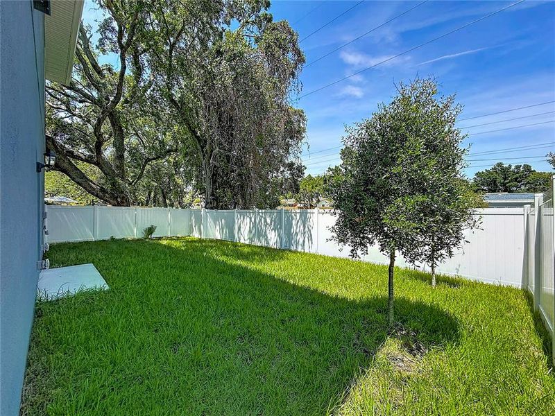 Exterior details and patio area of a home in , St. Petersburg (Image 24).