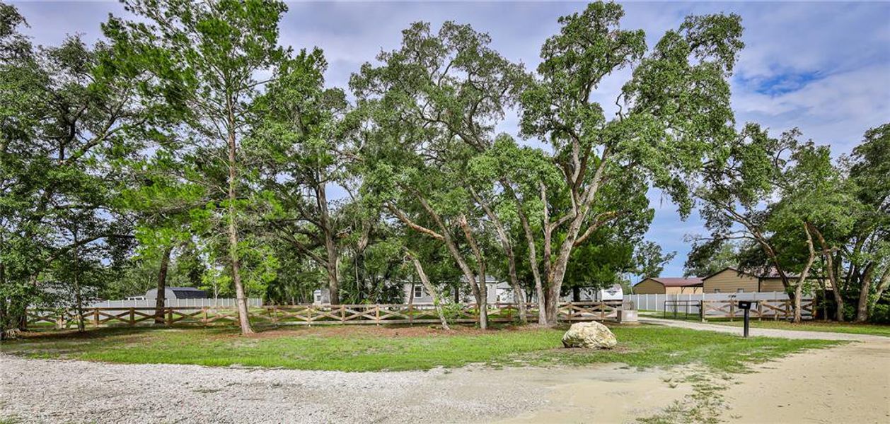 Natural landscape and outdoor views near in Weeki Wachee (Image 56). Natural landscape and outdoor views near in Weeki Wachee (Image 56).