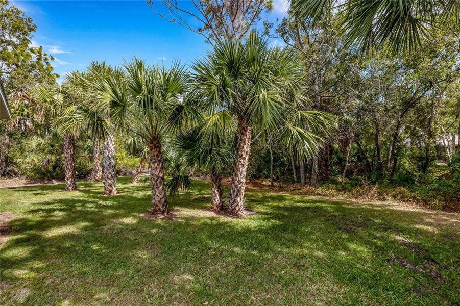 Natural landscape and outdoor views near  in Englewood (Image 43).