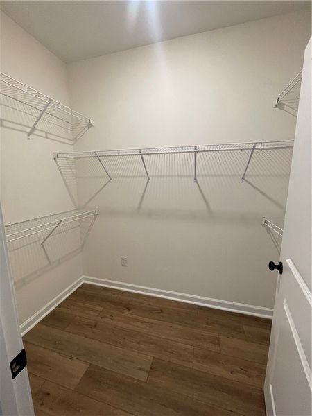 Spacious, unfurnished interior of a new home in Springwood Grove, Central (Image 29).