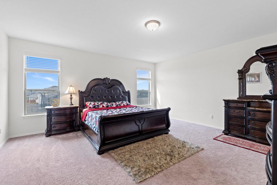 Spacious bedroom featuring light neutral wall tones, two large windows with horizontal blinds, a ceiling-mounted light fixture, and plush carpet flooring