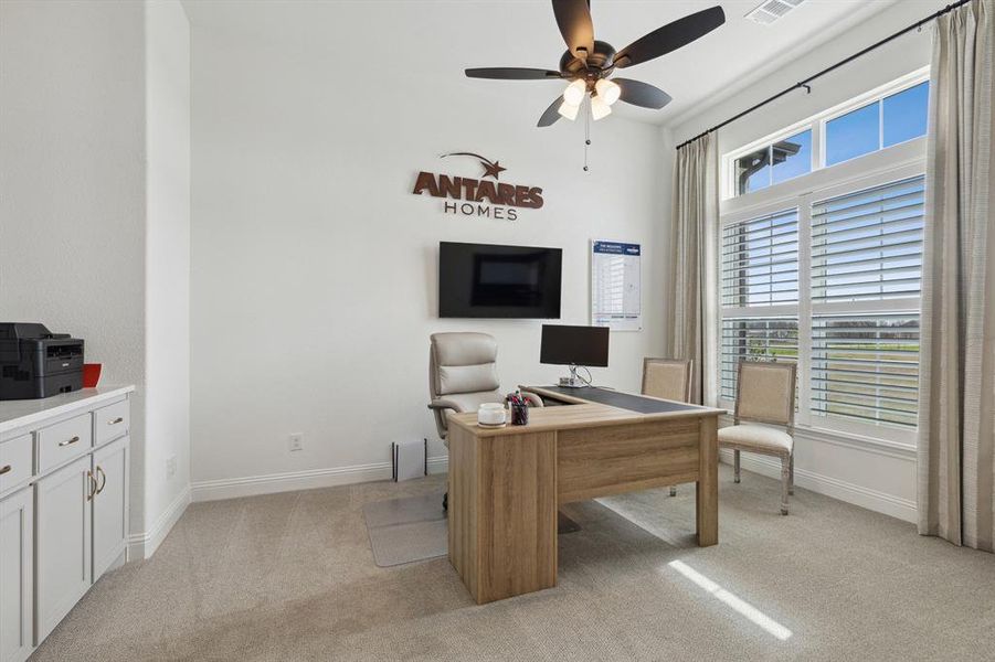 28-170Meadow_028 28-170Meadow_028