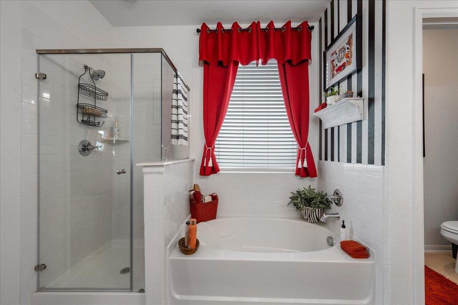 Furnished interior view inside a new home in , Buda (Image 3). Furnished interior view inside a new home in , Buda (Image 3).