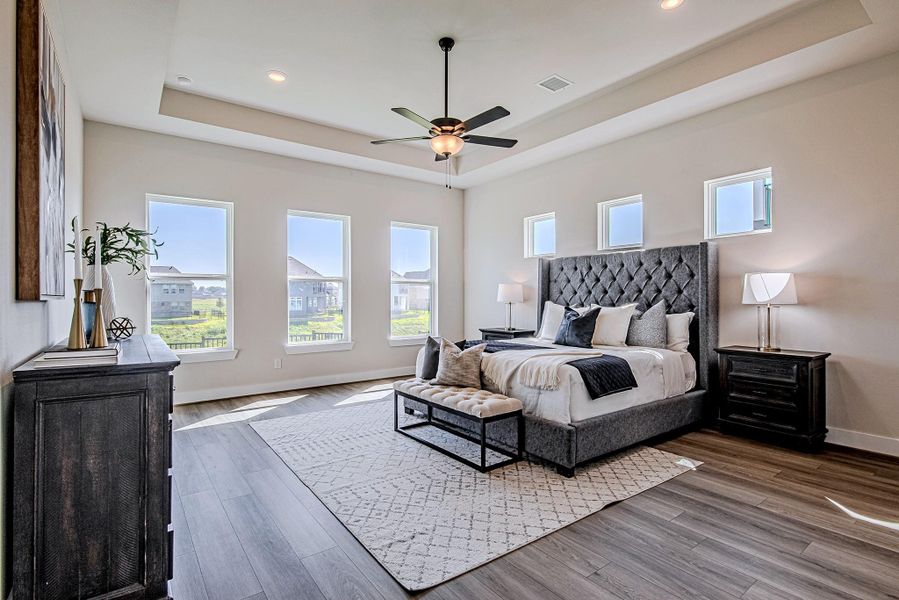Spacious primary bedroom with a tray ceiling, ceiling fan, and multiple windows