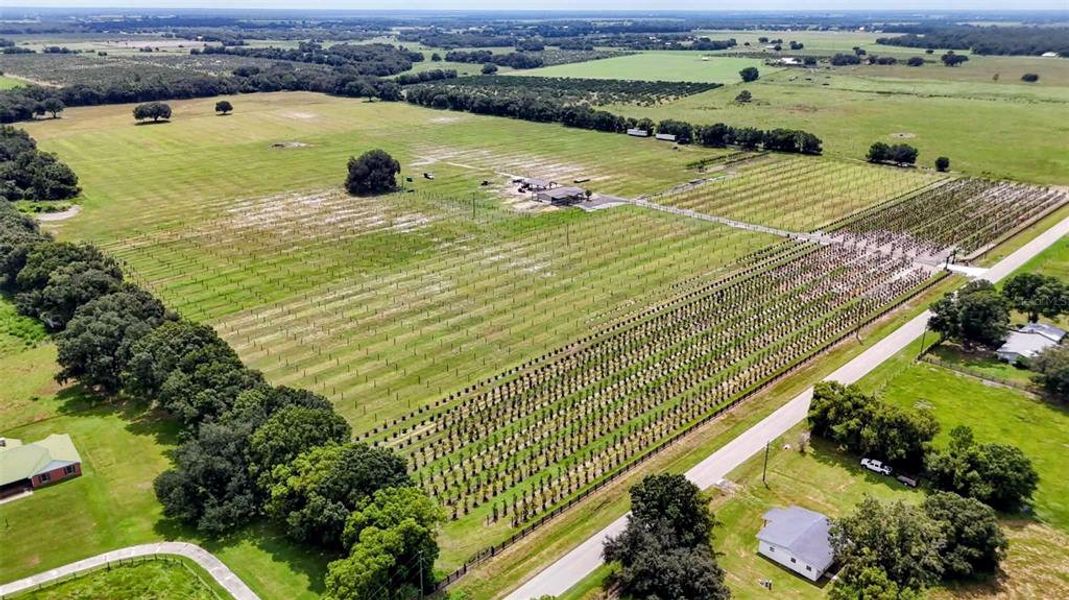 Site preparation for new homesites in , Wauchula (Image 23).