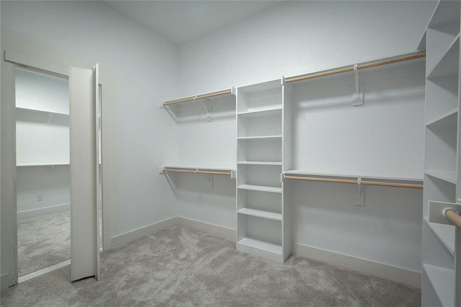 Spacious closet featuring carpet flooring