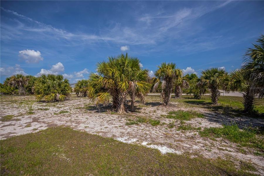 Natural landscape and outdoor views near  in Port Charlotte (Image 75).