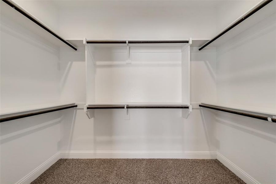 Spacious closet with carpet floors