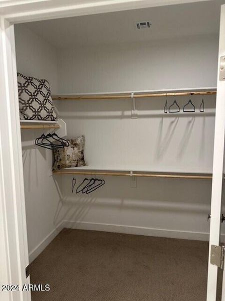 Primary Walk-in Closet 1