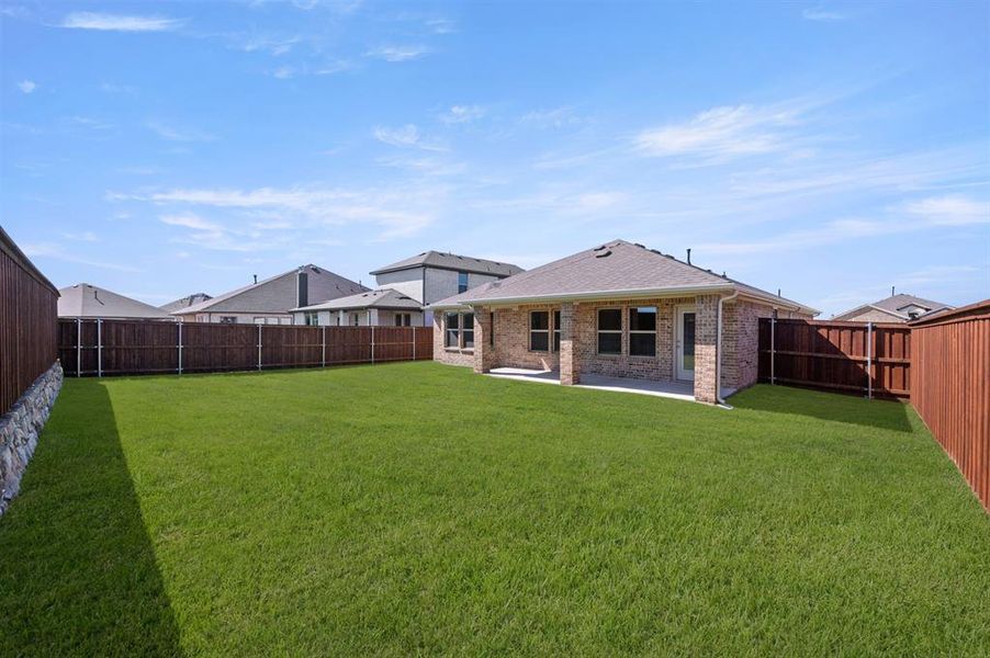 724 Scarlet Sage- Back-1