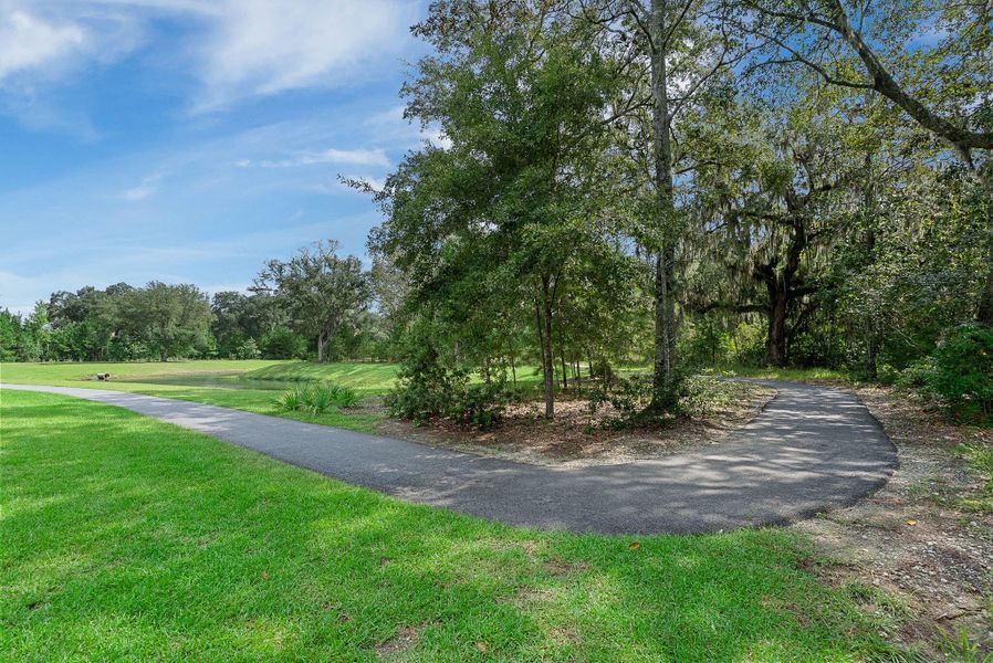 Natural landscape and outdoor views near Sea Island Preserve in Johns Island (Image 68).
