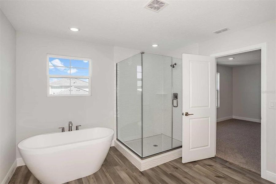 Furnished interior view inside a new home in Mirada, San Antonio (Image 9). Furnished interior view inside a new home in Mirada, San Antonio (Image 9).