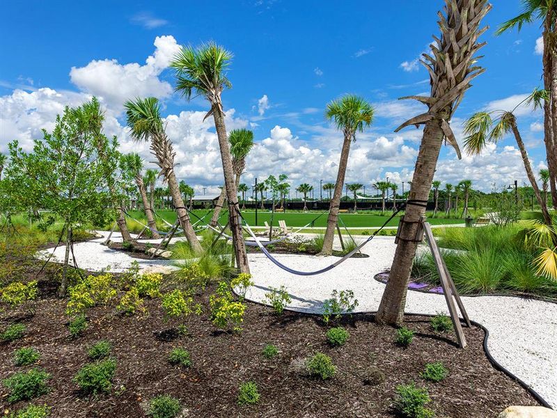 Natural landscape and outdoor views near  in Sarasota (Image 78).