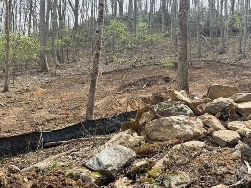 Natural landscape and outdoor views near  in Mars Hill (Image 9).