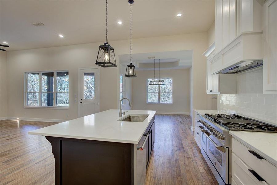 6-burner has stove with griddle and two ovens. Custom vent hood above. Lower cabinets are mostly drawer stacks.