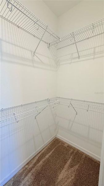 Spacious, unfurnished interior of a new home in , Palmetto (Image 32).