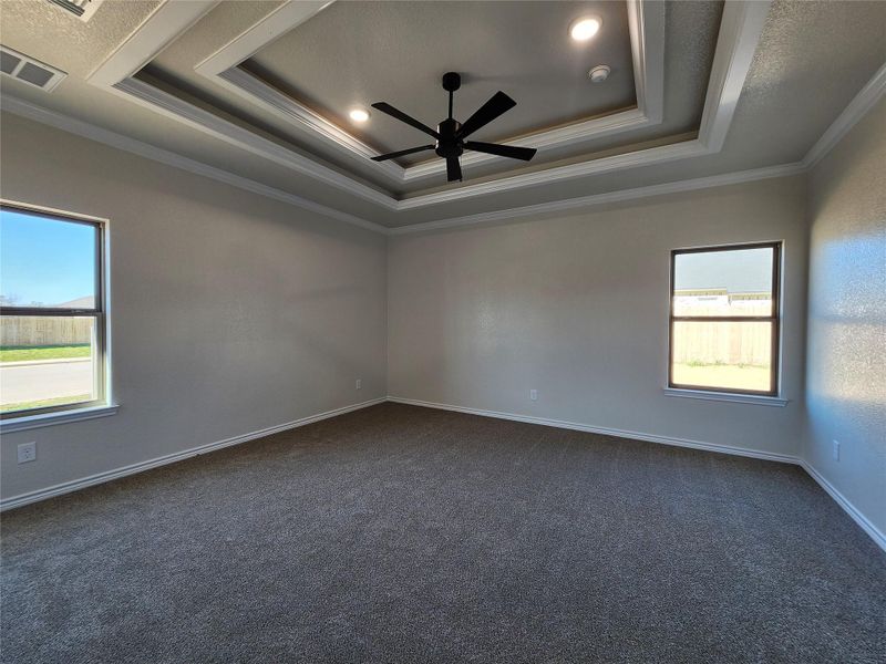 Unfurnished room with a ceiling fan, healthy amount of natural light, dark carpet, and crown molding