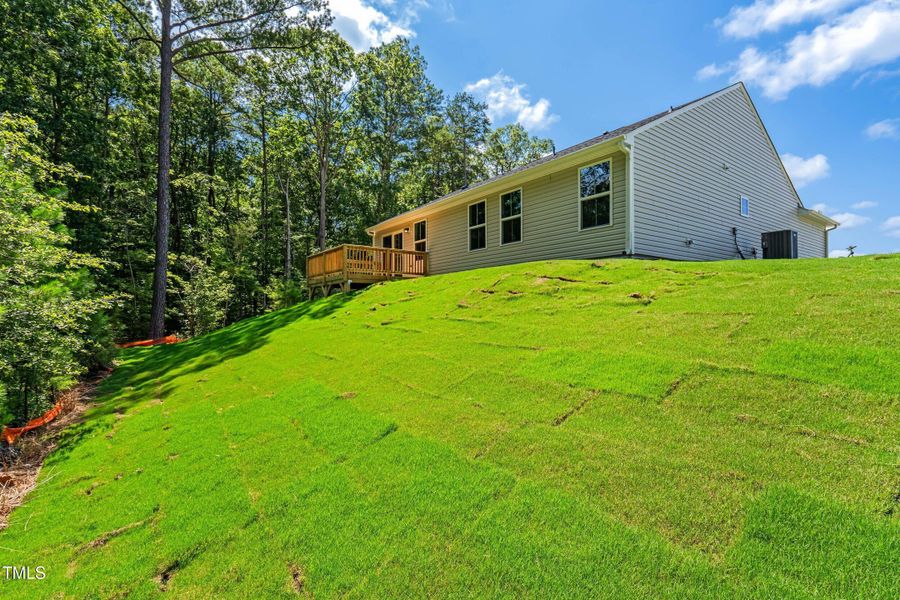 27_dsc08974 27_dsc08974