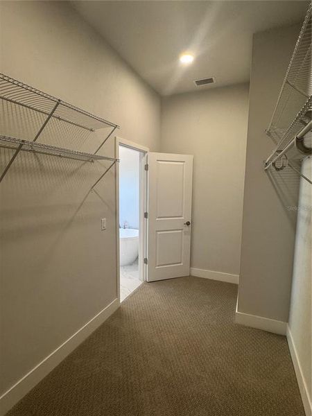 Spacious, unfurnished interior of a new home in Laureate Village, Newberry (Image 21).