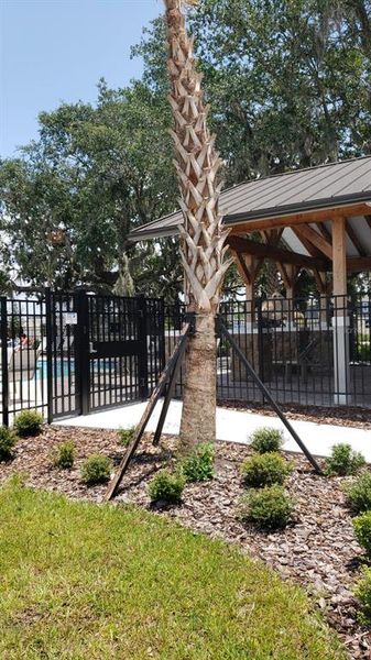 Community amenities in Pennyroyal, Kissimmee (Image 16). Community amenities in Pennyroyal, Kissimmee (Image 16).