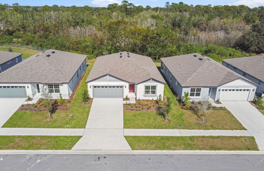 Nature Homesite View