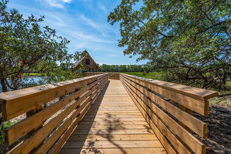 Natural landscape and outdoor views near  in Kiawah Island (Image 75).
