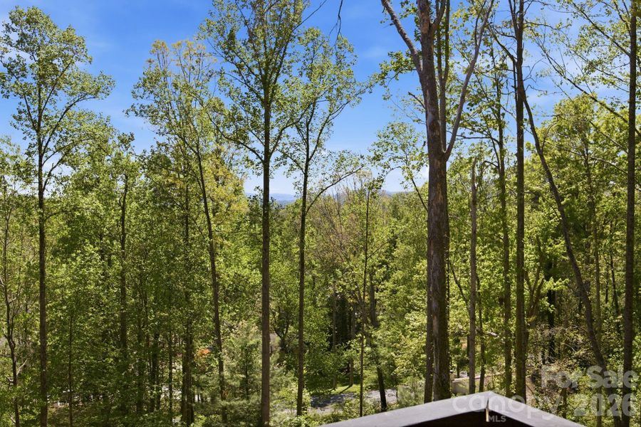 View from front deck