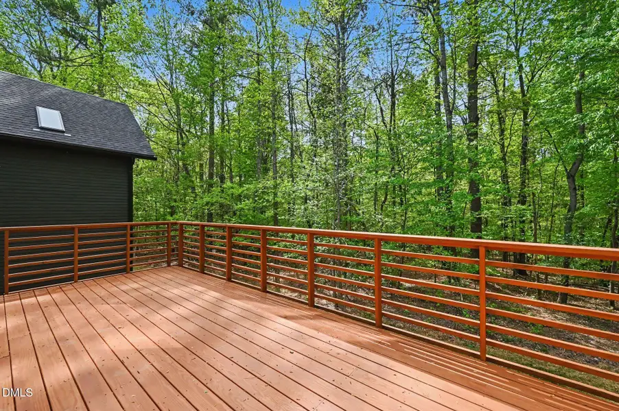 Stained Back Deck