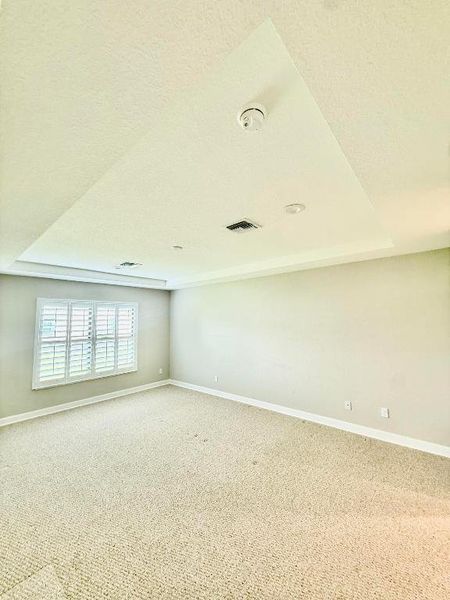 Enormous Master Suite, Tray Ceiling