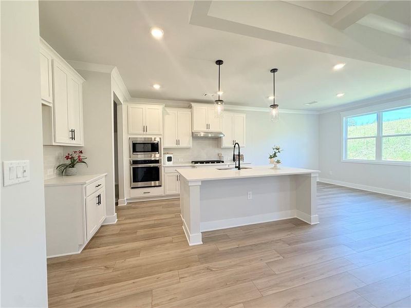Furnished interior view inside a new home in Ponderosa Farms Manor, Gainesville (Image 11).
