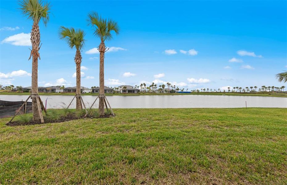 Natural landscape and outdoor views near Del Webb Catalina in Lakewood Ranch (Image 30).