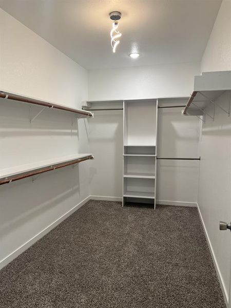 Spacious closet with dark carpet Spacious closet with dark carpet