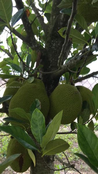 Image 15 of a home in .