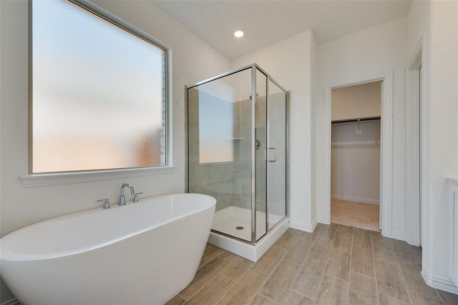 Bathroom with a wealth of natural light and shower with separate bathtub