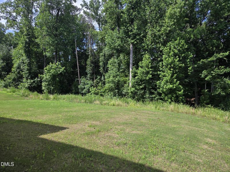 Backyard Backyard