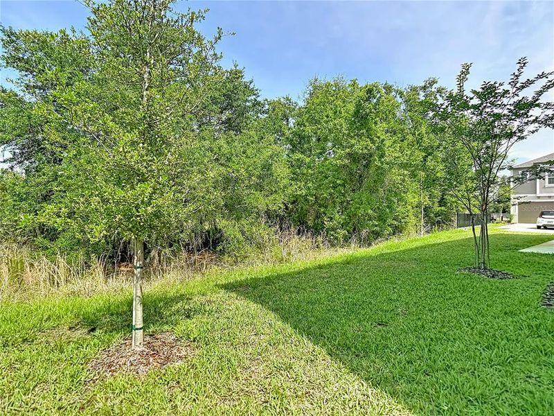 Natural landscape and outdoor views near  in Tampa (Image 69).