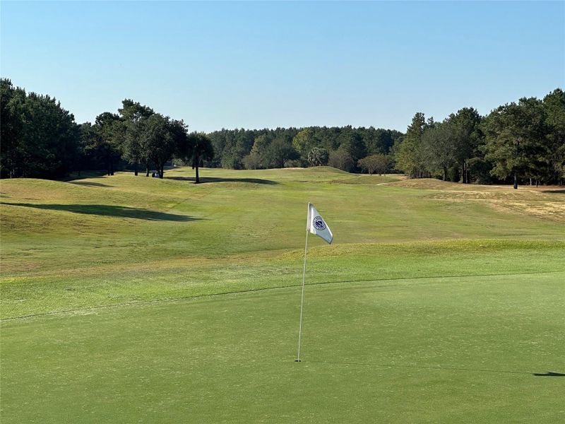 Natural landscape and outdoor views near in Montgomery (Image 29). Natural landscape and outdoor views near in Montgomery (Image 29).