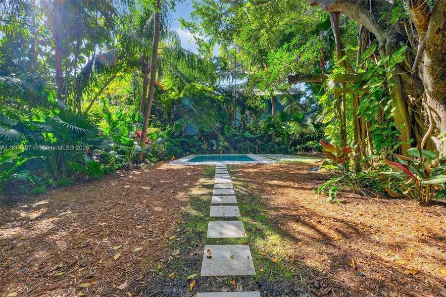 Natural landscape and outdoor views near  in Miami (Image 49).