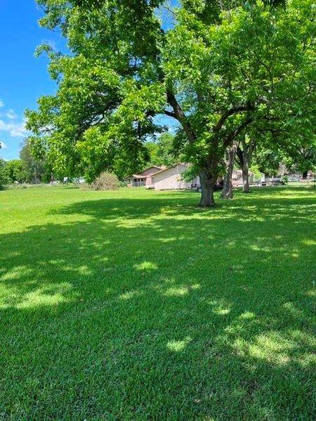 Expansive grassy area featuring mature trees providing natural shade Expansive grassy area featuring mature trees providing natural shade