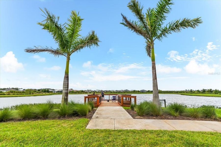 Natural landscape and outdoor views near  in Sarasota (Image 67).