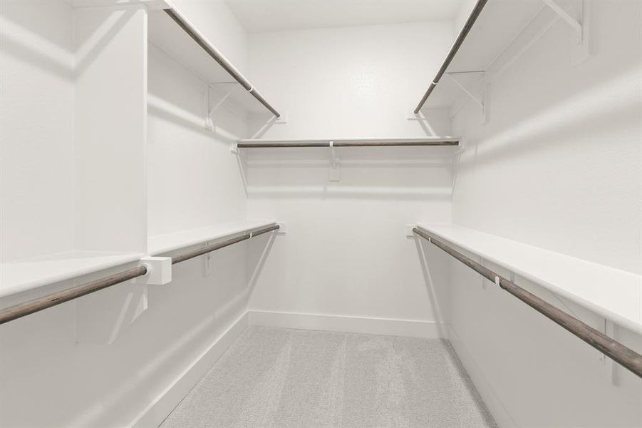 425 Curtiss - Closet