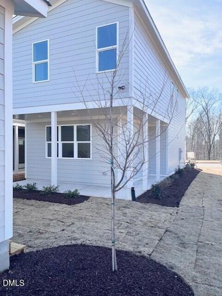 Exterior 3 - 27 Dec 2025