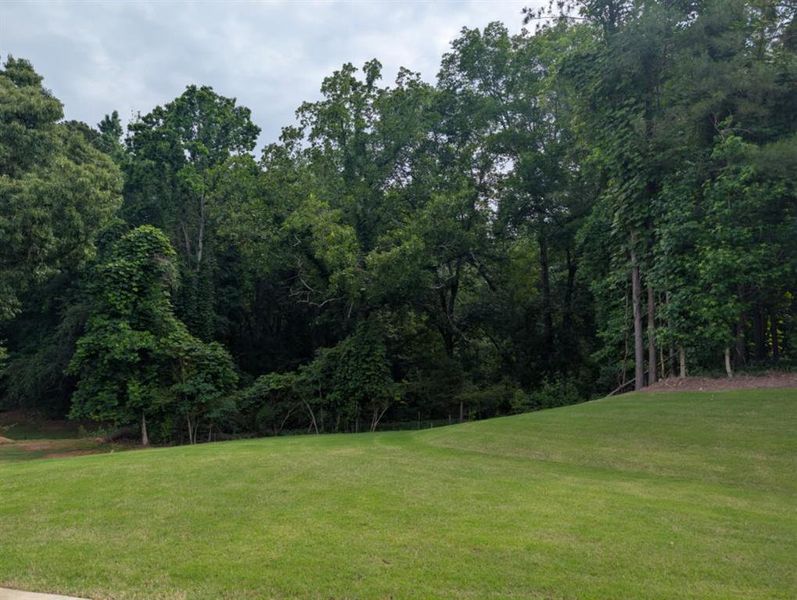Natural landscape and outdoor views near White Post on Lake Lanier in Gainesville (Image 26). Natural landscape and outdoor views near White Post on Lake Lanier in Gainesville (Image 26).